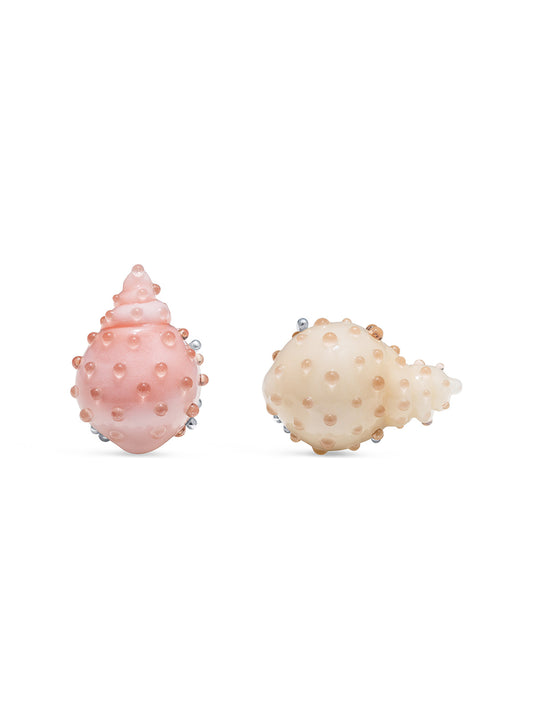 Nassa Stud Earrings