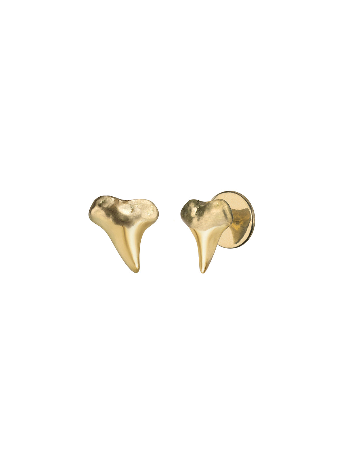Shark Tooth Studs In 18K Yellow Gold – Venyx World