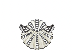 Eugenie's enamelled White Gold Myadora Shell Ring