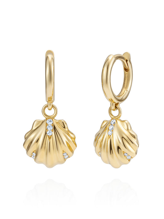 Baby Venus Shell Drops on Mini Hoops