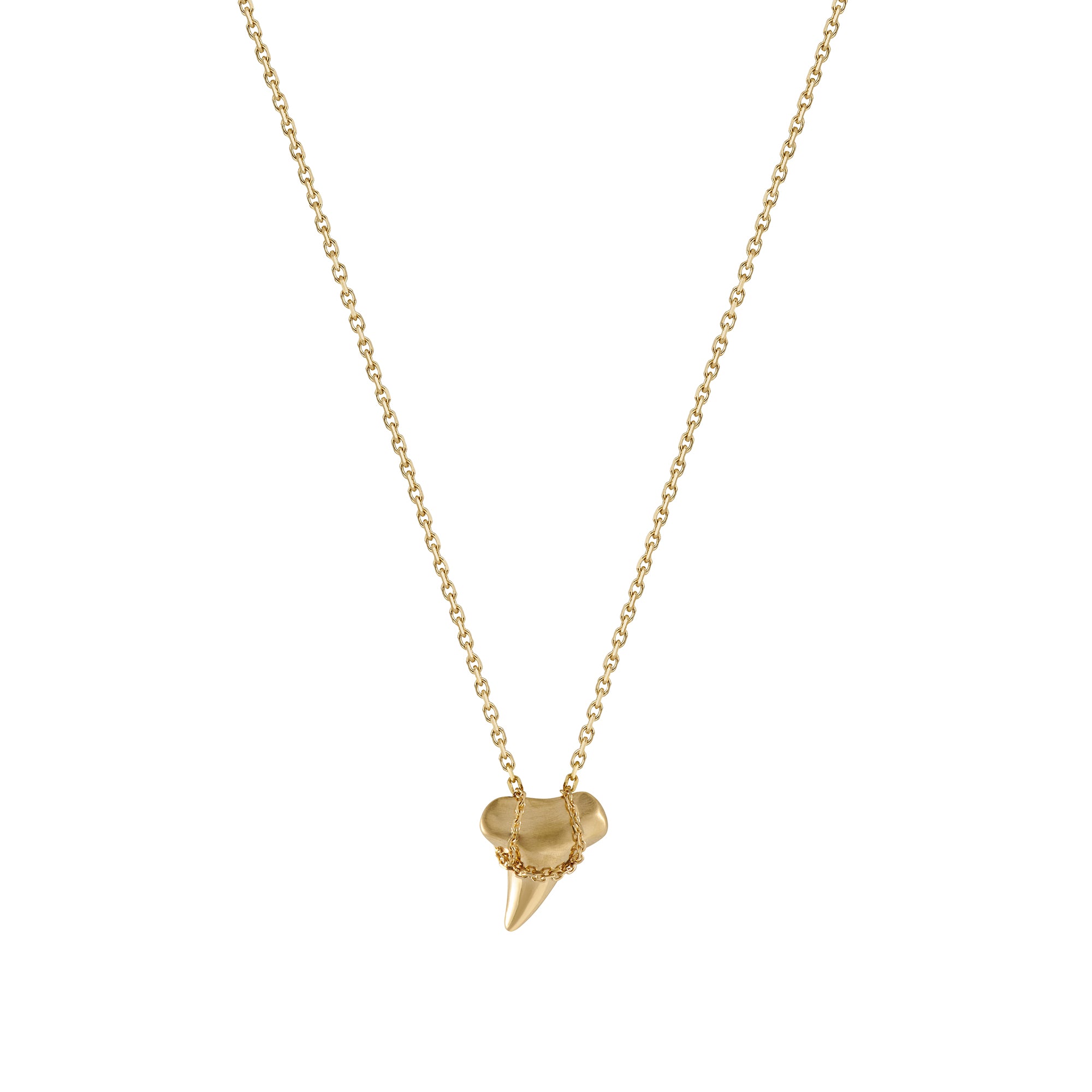 Shark Tooth Pendant 18K Yellow Gold Chain – Venyx World